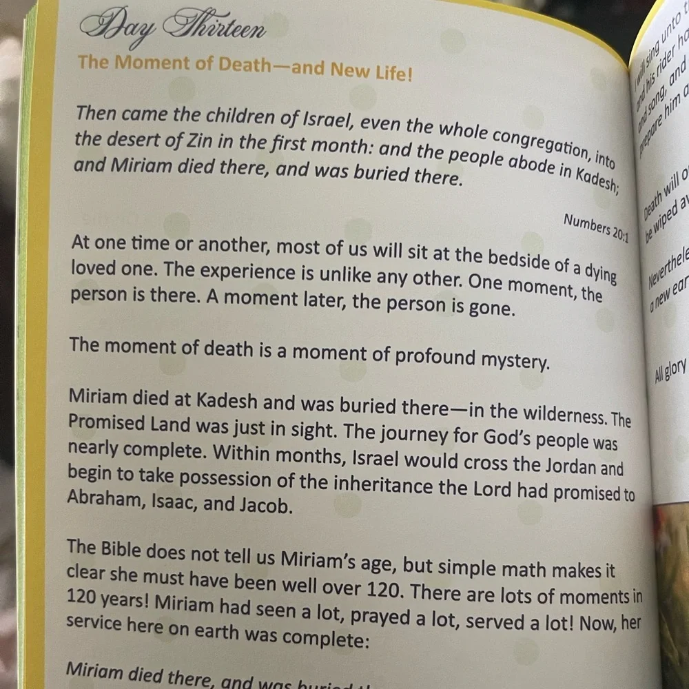 Ordinary Moments Extraordinary God Devotional Prayer Journal for Women